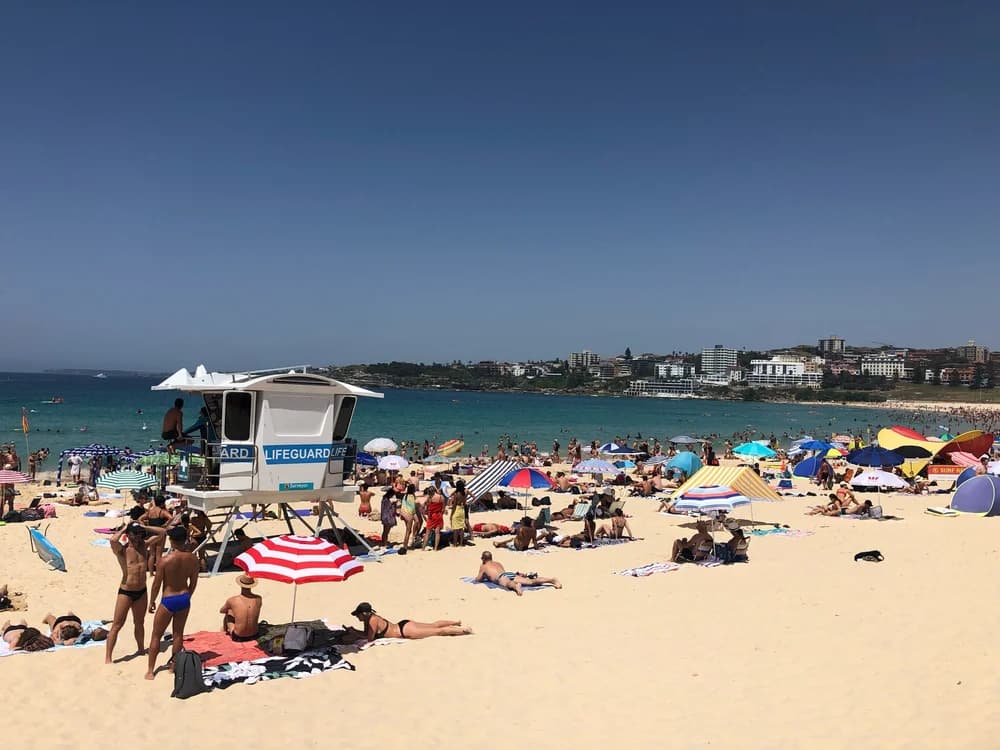 The 20 most dramatic moments on Bondi Rescue