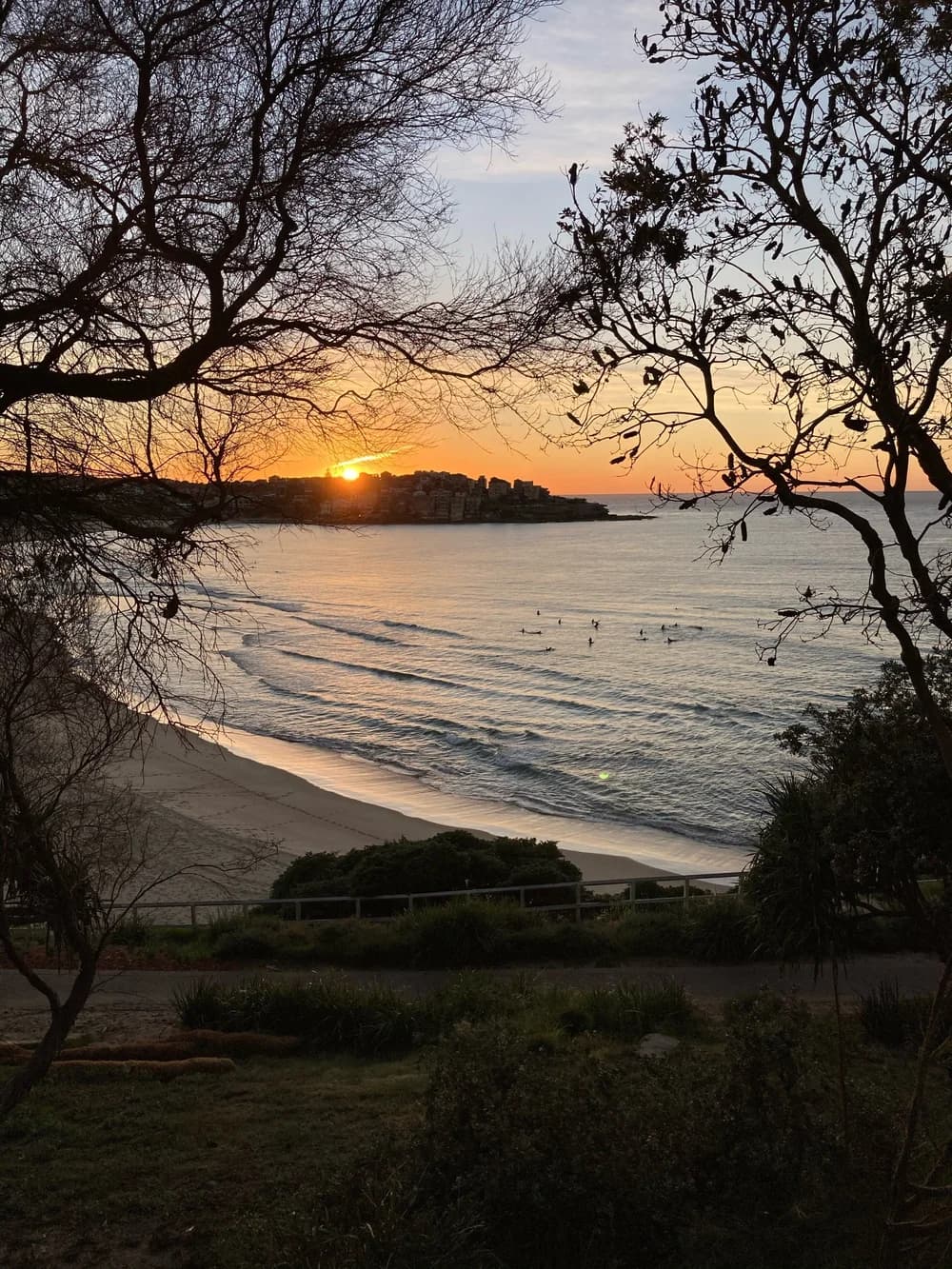 Bondi's best running routes