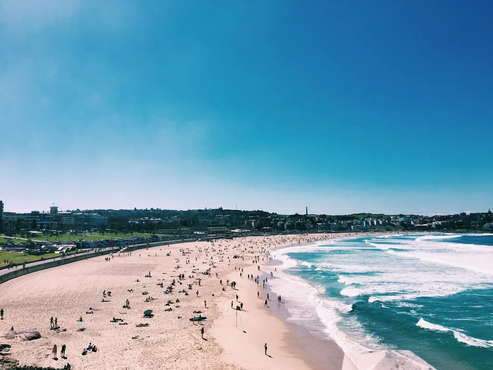 Bondi’s Sunday Markets: Your Ultimate Guide to Sydney's coolest Sunday Market