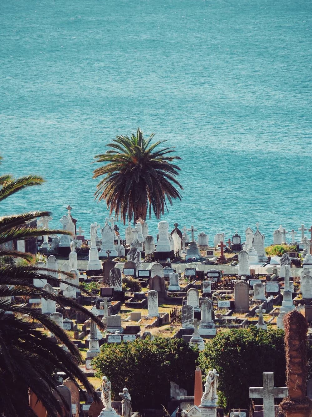 The Eternal Beauty of Waverley Cemetery: Sydney's Historic Resting Place by the Sea