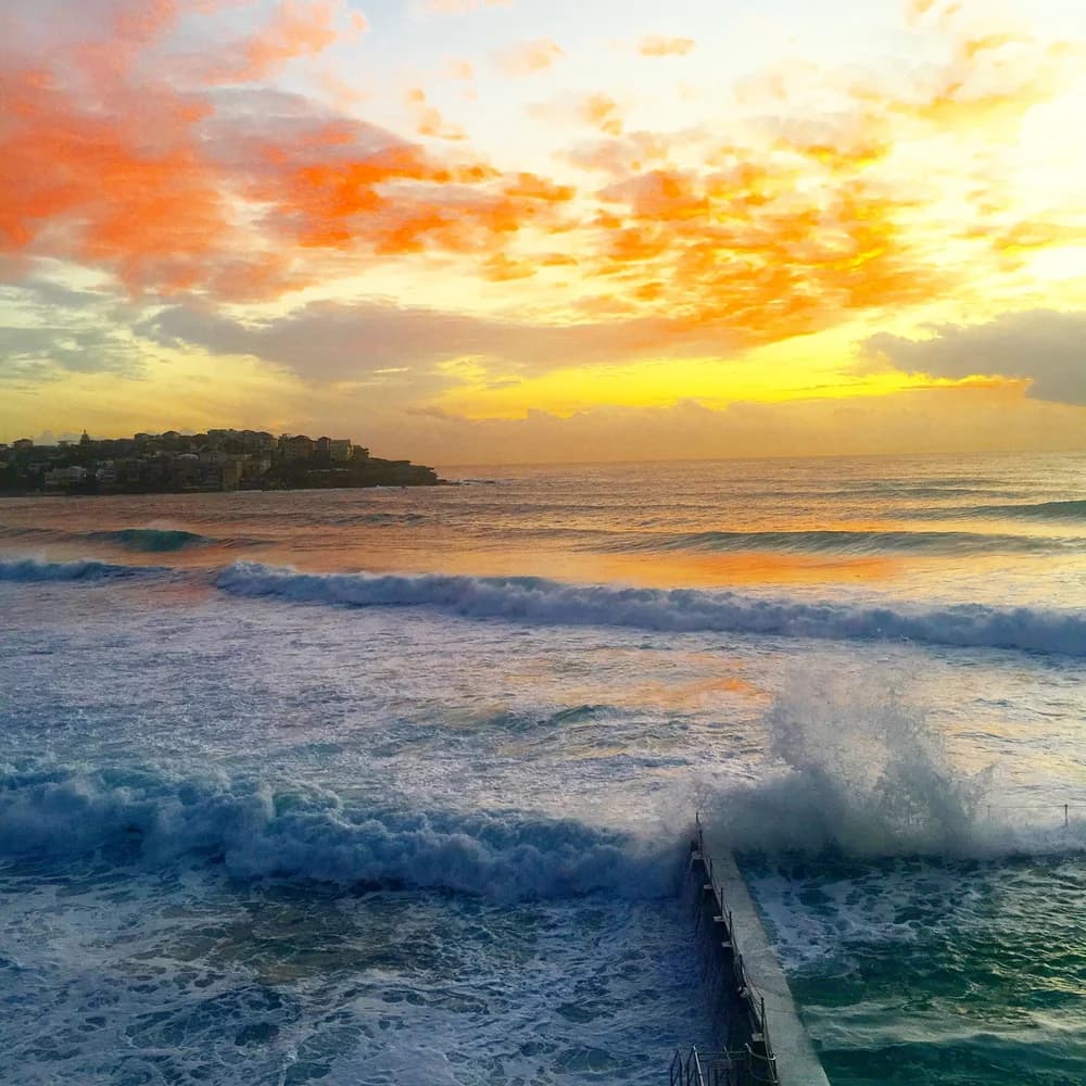 Bondi Beachとサメの疑問——その謎を解き明かす
