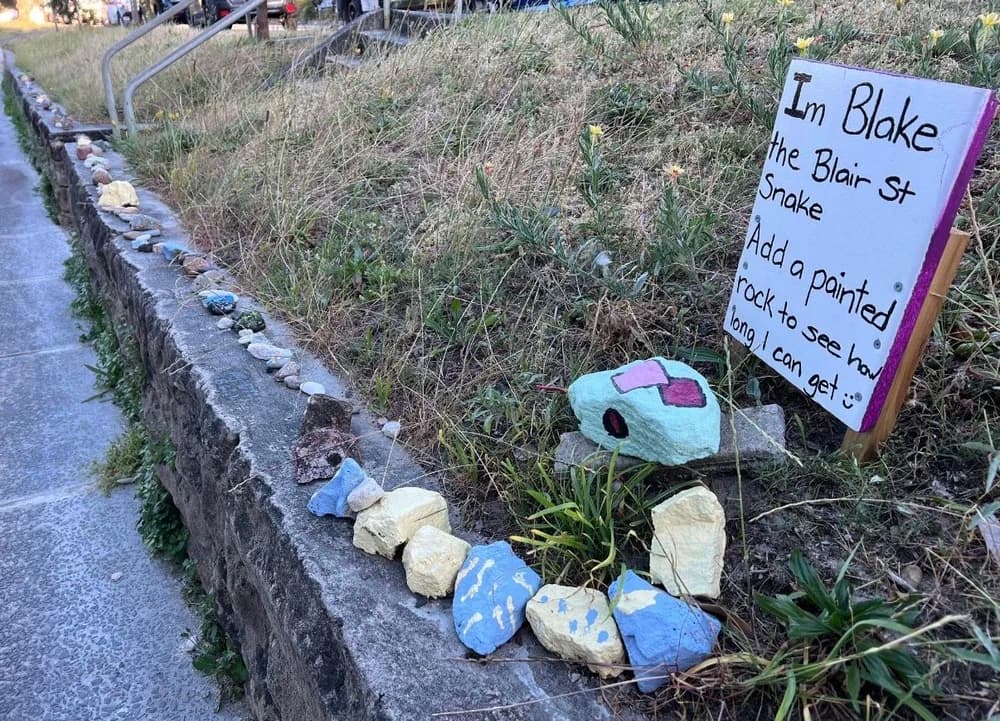 Are There Snakes in Bondi?