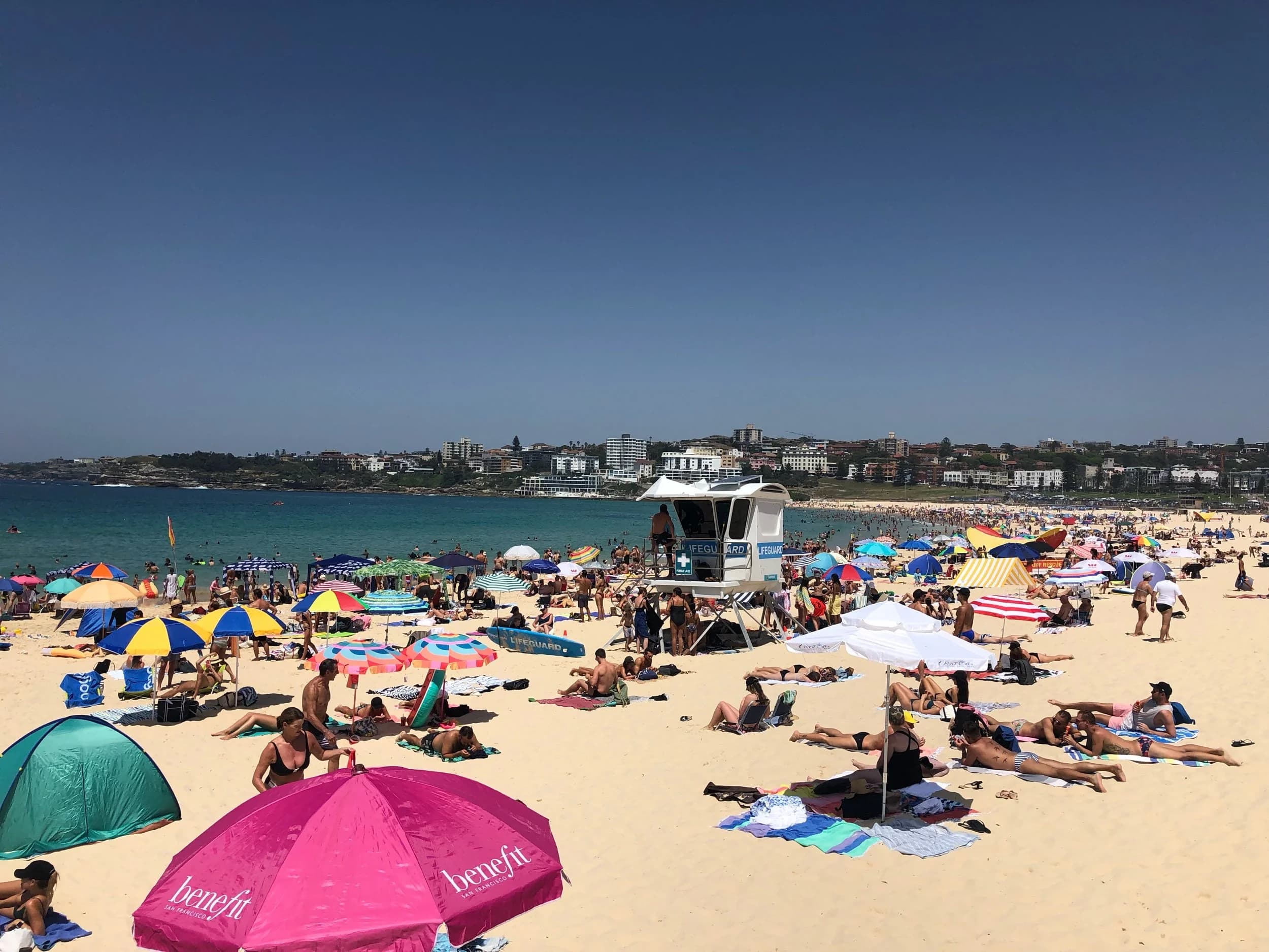 Bondi's best cafés right now