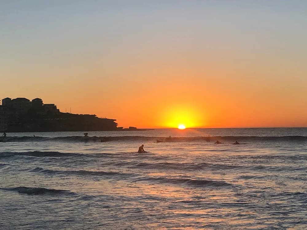 Understanding Bondi Beach Safety Signs